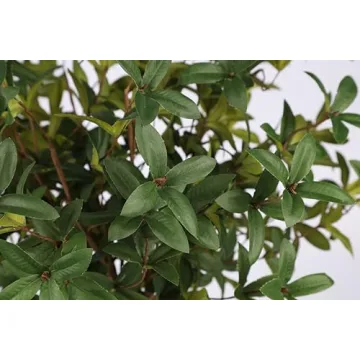 Miracliy 6pcs Lifelike Artificial Eucalyptus Greenery Stems