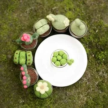 KISSBUTY Full Range of Needle Felting Kit, Cactus Wool Felted Set for Adults and Beginners Including Wool Roving for 8 Succulents, Foam Mat, Glass Pots, Needles, Finger Guards Tools Kit