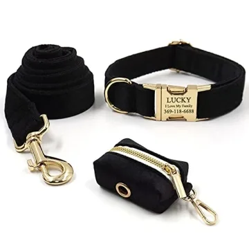 Custom Dog Collar with Name Engraving and Metal Buckle