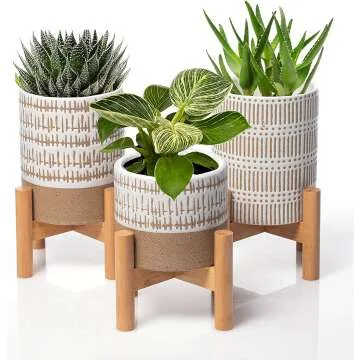 Mini Plant Stands Set with Pots for Home Decor