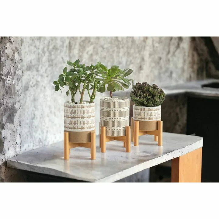 Mini Plant Stands Set with Pots for Home Decor