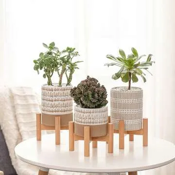 Mini Plant Stands Set with Pots for Home Decor