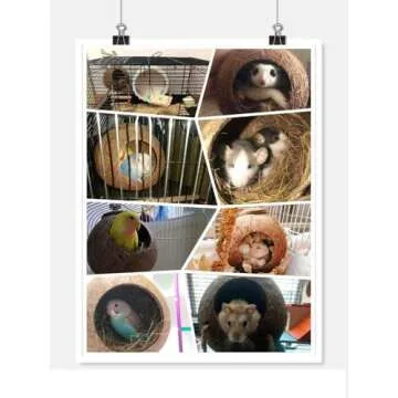 Eco-Friendly Hanging Bird House for Pet Birds and Small Animals