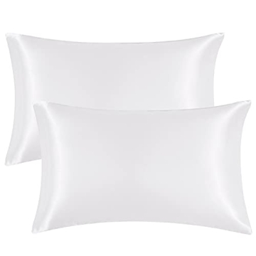 EHEYCIGA Satin Pillowcase Set for Queen Pillows, 2 Pack
