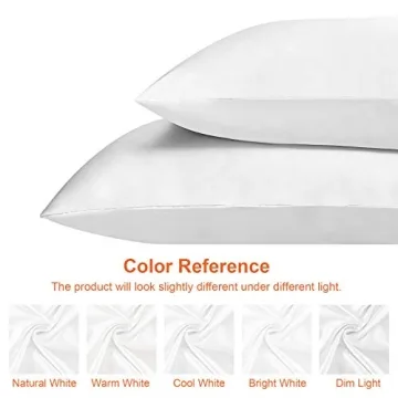 EHEYCIGA Satin Pillowcase Set for Queen Pillows, 2 Pack