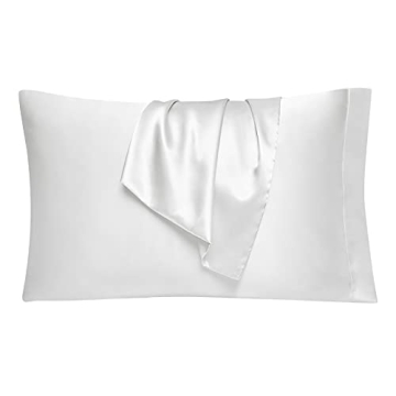EHEYCIGA Satin Pillowcase Set for Queen Pillows, 2 Pack