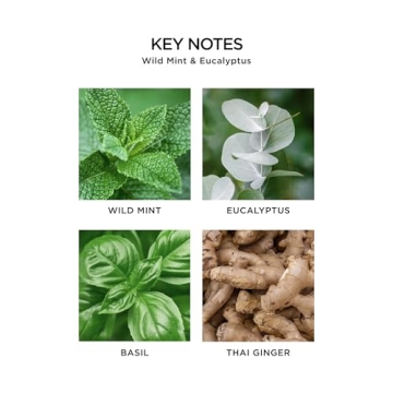 NEST New York Wild Mint & Eucalyptus Reed Diffuser