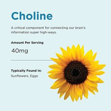 Brainiac Daily BrainPack Gummies, Supports Brain Health with Omega 3 DHA EPA DPA, Choline, B6 & B12 and Lutein for Eye Health with Immune Support, Citrus Berry Flavor, 90 ct