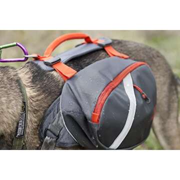 Mountainsmith K-9 Pack