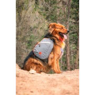 Mountainsmith K-9 Pack