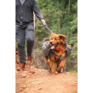 Mountainsmith K-9 Pack