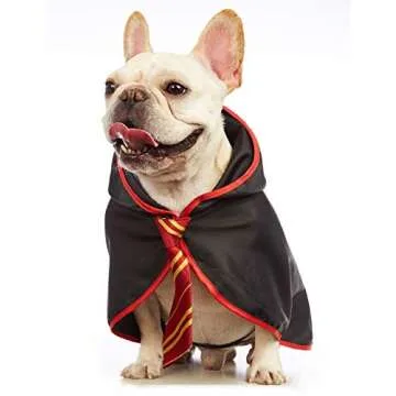 Impoosy Pet Halloween Dog Hoodies Funny Cat Wizard Costume Cute Apparel Soft Shirts Clothes with Glasses (Small,Neck:12")