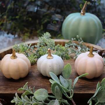 20 PCS Velvet Pumpkins for Decorating, Blue Pink Black White Foam Artificial Pumpkins for Fall Table Decor, Rustic Fall Harvest, Pumpkin Decorations for Thanksgiving, Home Table Centerpieces, Wedding