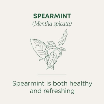 Organic Spearmint Tea for Wellness 96 Bags 6 Pack