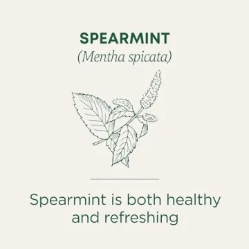 Organic Spearmint Tea for Wellness 96 Bags 6 Pack