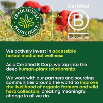 Organic Spearmint Tea for Wellness 96 Bags 6 Pack