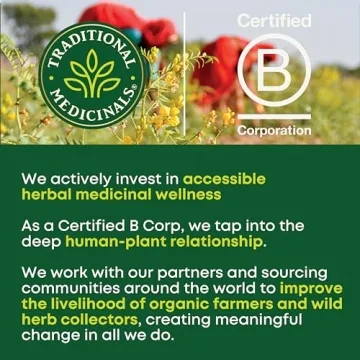 Organic Spearmint Tea for Wellness 96 Bags 6 Pack