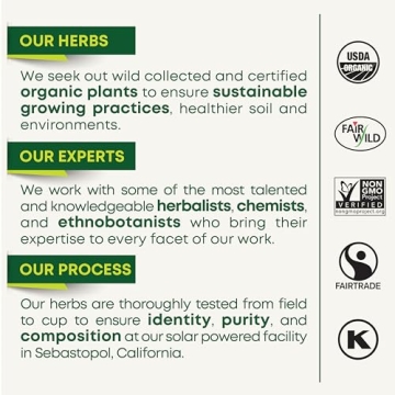 Organic Spearmint Tea for Wellness 96 Bags 6 Pack