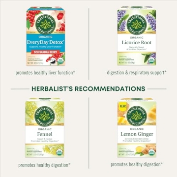 Organic Spearmint Tea for Wellness 96 Bags 6 Pack