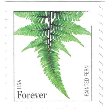 USPS Ferns Forever Stamps - 20 Stamps
