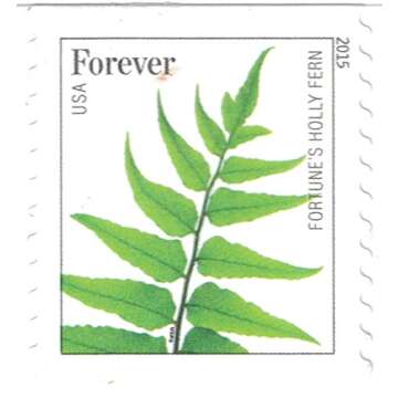 USPS Ferns Forever Stamps - 20 Stamps