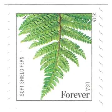 USPS Ferns Forever Stamps - 20 Stamps