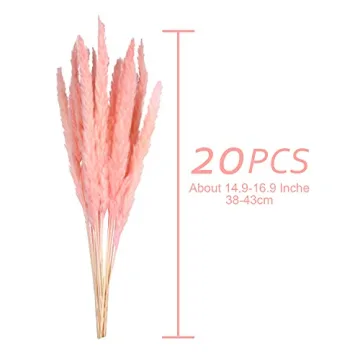 Omldggr 20 Natural Dried Pampas Grass for Decor