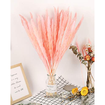 Omldggr 20 Natural Dried Pampas Grass for Decor