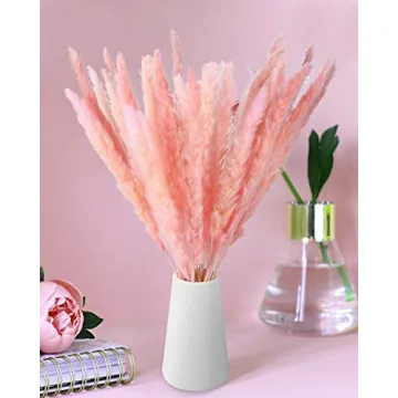 Omldggr 20 Natural Dried Pampas Grass for Decor