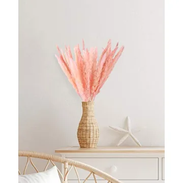 Omldggr 20 Natural Dried Pampas Grass for Decor