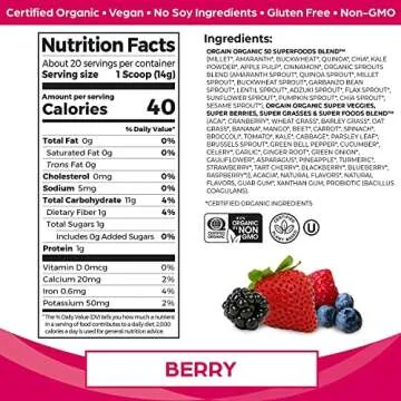 Orgain Organic Protein + Superfoods Powder Bundle