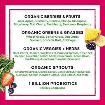 Orgain Organic Protein + Superfoods Powder Bundle