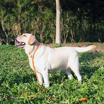 Careble Dog Leash Rope Slip Lead Nylon Pet Leashes Soft Thicken Handle Strong 6 Foot Slip On Collar Leash for Large Medium Dogs Small Puppy