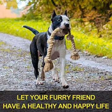 Durable Fida Dog Rope Toy for Strong Chewers 3FT