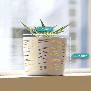 Stylish Willowy Ceramic Pot - Elegant Drainage Included