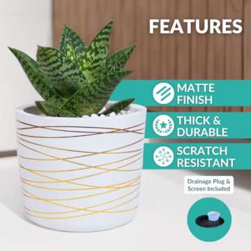 Stylish Willowy Ceramic Pot - Elegant Drainage Included