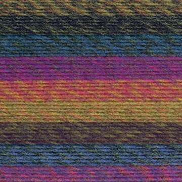 Lion Brand Yarn Ferris Wheel Yarn, Multicolor Yarn for Knitting, Crocheting, and Crafts, 1-Pack, Sum...