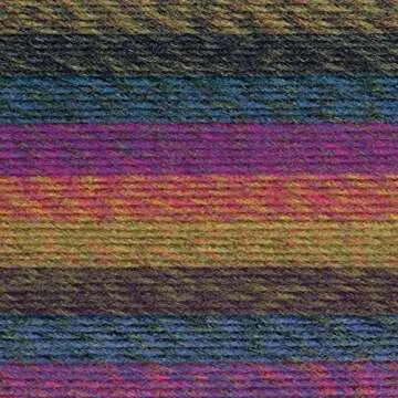 Lion Brand Yarn Ferris Wheel Yarn, Multicolor Yarn for Knitting, Crocheting, and Crafts, 1-Pack, Sum...