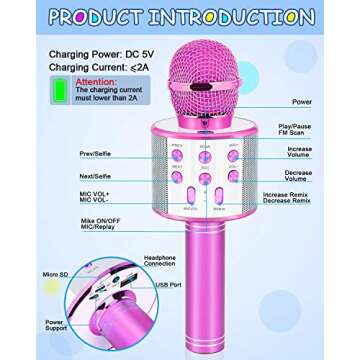 Dodosky Karaoke Microphone for Kids Age 4-12 - Fun Gift