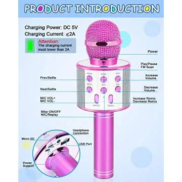 Dodosky Karaoke Microphone for Kids Age 4-12 - Fun Gift