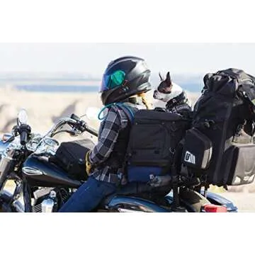 Kuryakyn 5288 Grand Pet Palace: Portable Weather Resistant Motorcycle Dog/Cat Carrier Crate for Luggage Rack or Passenger Seat with Sissy Bar Straps, Black 35 lbs Capacity