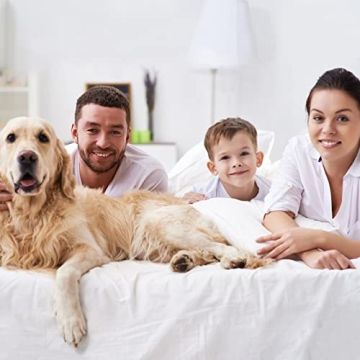 HOMEIDEAS Lightweight Microfiber Bed Sheets Set - King Size