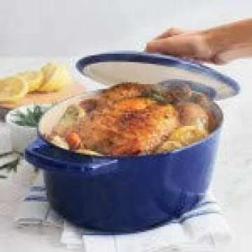 Le Creuset Signature Oval Dutch Oven - 3.5 Qt Cactus