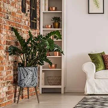 Stylish D'vine Dev 14 Inch Planter Pot with Stand for All