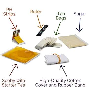 Kitchentoolz Two Phase Kombucha Starter Kit - Brew Delicious Kombucha