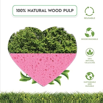 Natural Compressed Facial Sponges for Makeup Removal & Exfoliation