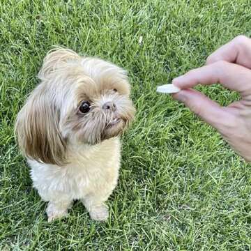 Healthy Pupford Freeze Dried Banana Treats for Dogs