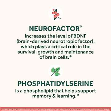 Neuriva Brain Supplement for Memory & Focus, 28ct