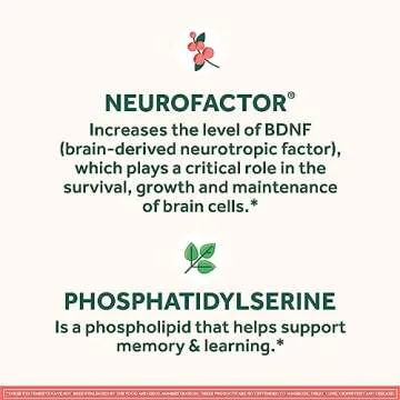 Neuriva Brain Supplement for Memory & Focus, 28ct