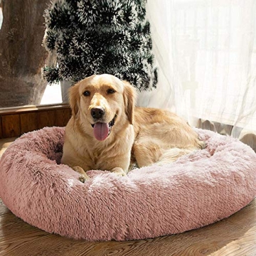 MFOX Calming Dog Bed for Medium Large Dogs Comfort